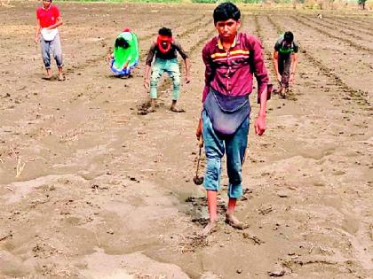 Farmers and farmers due to rain rush | पावसाच्या दडीमुळे शेतकरी, शेतमजूर चिंतेत