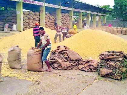 Devaluation; Soybeans Rs 3,399 | अवमूल्यन; सोयाबीन ३,३९९ रुपये