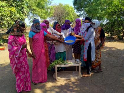  Organic Sanitizer made by a student of Pimpalgaon Lep | पिंपळगाव लेपच्या विद्यार्थिनीने बनविले जैविक सॅनिटायजर