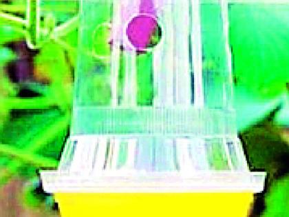 Farmers 'trap' in expensive trap of agricultural university | कृषी विद्यापीठाच्या महाग सापळ्यात शेतकरी ‘ट्रॅप’ Farmers 'trap' in expensive trap of agricultural university | कृषी विद्यापीठाच्या महाग सापळ्यात शेतकरी ‘ट्रॅप’