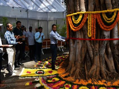 Tree census begins with 262-year-old pimpal tree | २६२ वर्षांच्या पिंपळ वृक्षाच्या पूजनाने वृक्षगणनेला केली सुरुवात