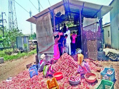 Farmers from eastern part of Nashik taluka are busy working for summer | नाशिक तालुका पूर्व भागातील शेतकरी उन्हाळी कामात व्यस्त