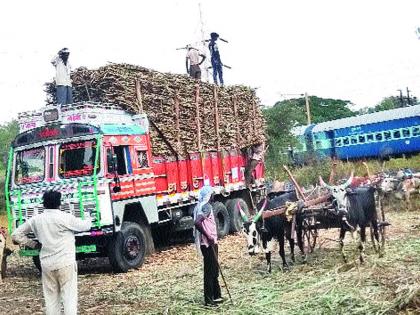  Rapid preparations for the east of taluka | तालुक्याच्या पूर्व भागात रब्बी हंगामाची तयारी वेगात