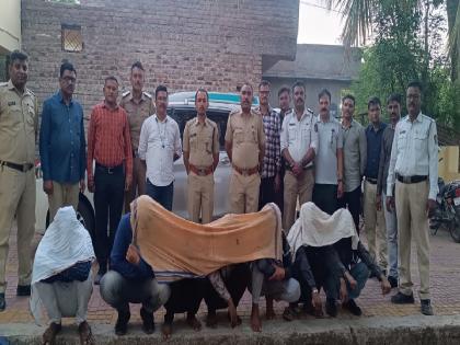 A burglary attempt was thwarted; Seven people were shackled | दराेड्याचा प्रयत्न उधळला; सात जणांना ठाेकल्या बेड्या