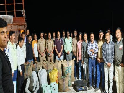 seized ganja is from Odisha | धाडनजीक पकडलेल्या गांजाचे मूळ ओडिशामध्ये, चालू आर्थिक वर्षातील होती मोठी कारवाई