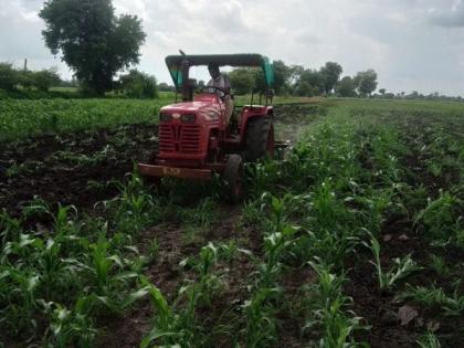 A tractor rotated in a four acre sorghum field | चार एकर ज्वारीच्या शेतात फिरवला ट्रॅक्टर