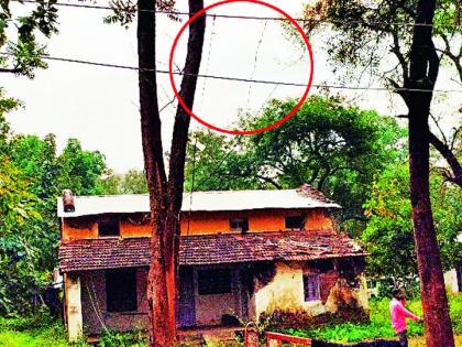 Office stolen with stolen electricity | चोरीच्या विजेने झळाळले कार्यालय Office stolen with stolen electricity | चोरीच्या विजेने झळाळले कार्यालय