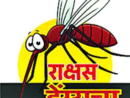 Review of dengue mortar in the absence of opponents | विरोधकांच्या गैरहजेरीत डेंग्यूचा बंदद्वार आढावा