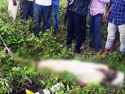 Farmers death by mahavitran | महावितरणने घेतला शेतकऱ्याचा बळी