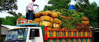 Fifty per cent subsidy for transportation of grapes and vegetables | द्राक्ष, भाजीपाला वाहतुकीला पन्नास टक्के सबसिडी