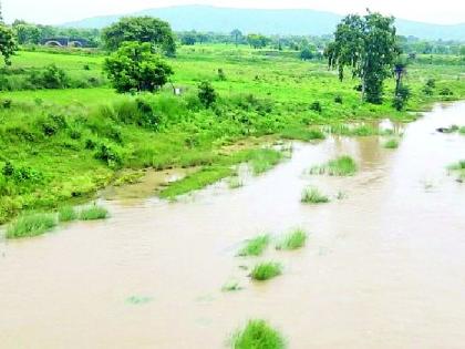 Crops on hundreds of hectares in danger | शेकडो हेक्टरवरील पीक धोक्यात Crops on hundreds of hectares in danger | शेकडो हेक्टरवरील पीक धोक्यात