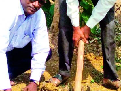 Teachers work to dig the pitches | शिक्षक खड्डे खोदण्याच्या कामाला