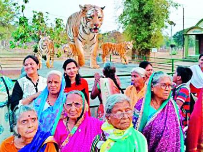 Older Tadoba Travelers | वृद्धाश्रमवासीयांनी केली ताडोबा सफर