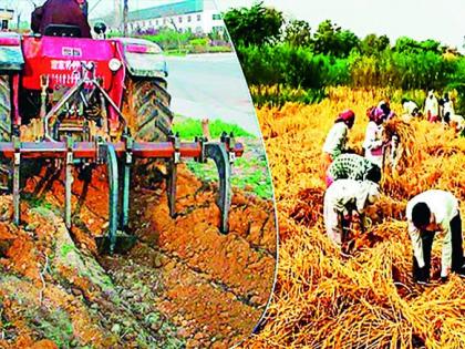 It is better to give up farming, no labor, no tractor | शेती सोडून दिलेलीच बरी, मजूर मिळेना, ट्रॅक्टर परवडेना It is better to give up farming, no labor, no tractor | शेती सोडून दिलेलीच बरी, मजूर मिळेना, ट्रॅक्टर परवडेना