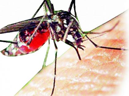 Dengue bites 128 people in Corona crisis | कोरोनाच्या संकटात १२८ व्यक्तींना ‘डेंग्यू’चा डंख