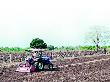 Sowing was done on an area of four and a half lakh hectares | साडेचार लाख हेक्टर क्षेत्रावरील पेरणी खोळंबली