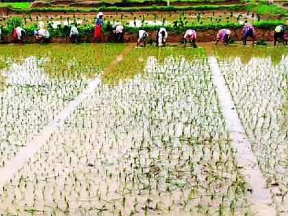 Farmers' tendency towards lease system | पट्टा पद्धतीकडे शेतकऱ्यांचा कल Farmers' tendency towards lease system | पट्टा पद्धतीकडे शेतकऱ्यांचा कल