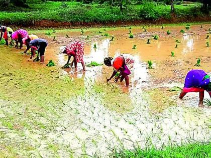 Will there be as much rain this year as last year? | मागील वर्षीएवढा पाऊस यावर्षी पडणार काय? Will there be as much rain this year as last year? | मागील वर्षीएवढा पाऊस यावर्षी पडणार काय?