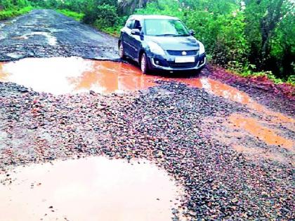 Wadsa-Kohhamara road leads to drought | वडसा-कोहमारा रस्त्याची झाली दुरवस्था