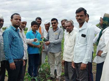  Bondali control workshop at Khamgaon | खामगाव येथे बोंडअळी नियंत्रण कार्यशाळा