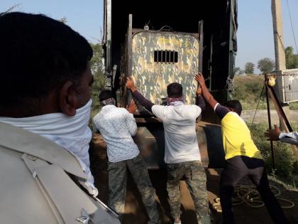 Leopard confiscated at Dharangaon Veer | धारणगाव वीर येथे बिबट्या जेरबंद