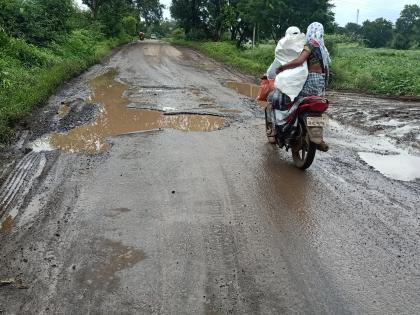 Roads in Naigaon valley were paved | नायगाव खोऱ्यातील रस्त्यांची झाली चाळण