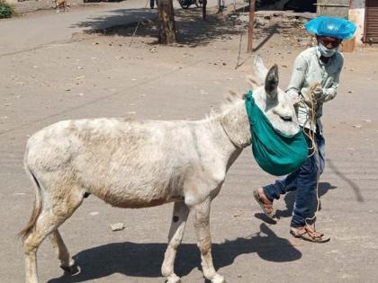 The message had to be given to the villagers by donkey | गाढवाद्वारे द्यावा लागला ग्रामस्थांना संदेश