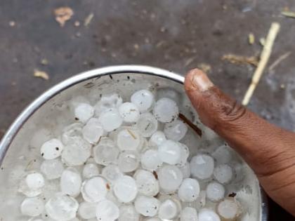 Hail showers in Bhavli dam area | भावली धरण परिसरातील भागात गारांचा पाऊस