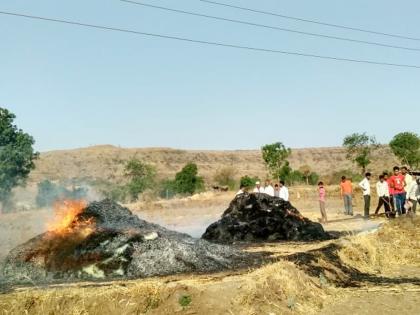  Fodder accumulation by electric carrier wire friction at Ashapur | आशापूर येथे विद्युत वाहक तारांच्या घर्षणाने चारा खाक