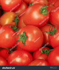 Tomato auction at Umrane Market Committee from today | उमराणे बाजार समितीत आजपासून टमाटा लिलाव