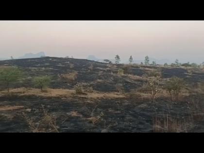 Fire in forest area | वनविभागाच्या क्षेत्रात आग