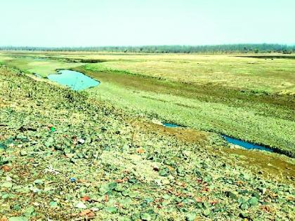 Oxygen reservoir of the district | जिल्ह्यातील जलाशय आॅक्सिजनवर