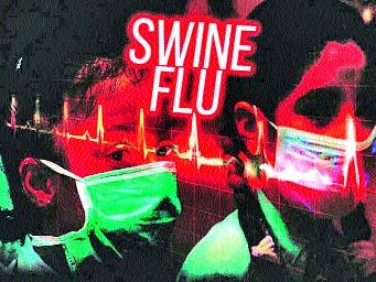  Swine Flu risk during the celebration | उत्सव काळात स्वाइन फ्लूचा धोका