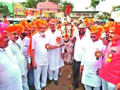  Pawan Horse first in the exhibition of Dangi Animals | डांगी जनावरांच्या प्रदर्शनात पवन अश्व प्रथम