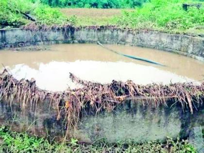 The stork bird pond pond, though the irrigation department sleeps | सारस पक्ष्याने पोखरला तलाव, तरी सिंचन विभाग झोपेत