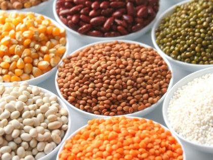 In Vidarbha, pulses production is below 25% | विदर्भात कडधान्याचे उत्पादन २५ टक्क्यांखालीच