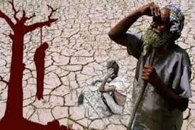 25 cases of farmer suicides eligible for help! | शेतकरी आत्महत्यांची २५ प्रकरणे मदतीसाठी पात्र!