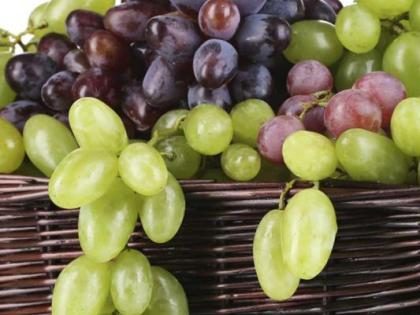 Be aware while eating Grapes ; The risk of excessive use of pesticides | जपून खा द्राक्षं; कीटकनाशकांच्या जास्त वापराचा धोका