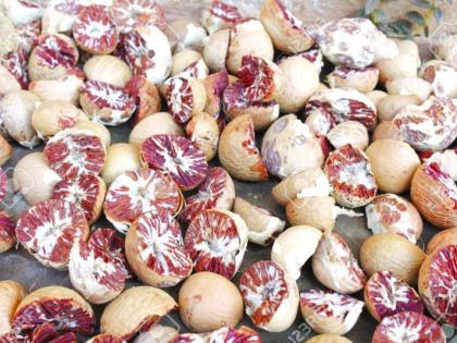 85.83 lakh poisonous betel nuts seized in Nagpur | नागपुरात ८५.८३ लाखांची विषारी सुपारी जप्त