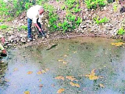 Inspection of forest water bodies with litmus paper | वनक्षेत्रातील पाणवठ्यांची लिटमस पेपरने तपासणी