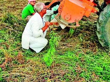 13 acres rotated on soybean tractor | १३ एकरांतील सोयाबीनवर फिरविला ट्रॅक्टर