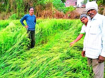 Thunderstorm rain on Thursday night: hailstorms with heavy rains and thunders | गुरुवारी रात्री वादळी पाऊस : विजांच्या कडकडाटांसह गारपीटही