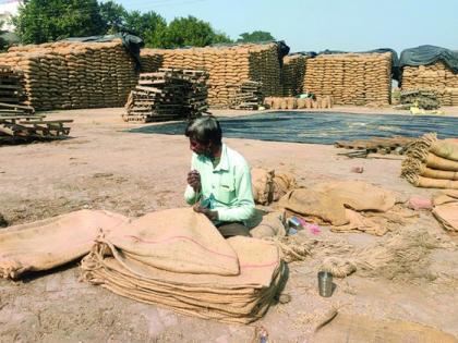 Do you pay the farmers' bardana money or do you return the bardana? | शेतकऱ्यांच्या बारदान्याचे पैसे देता की बारदाणे परत करता ?