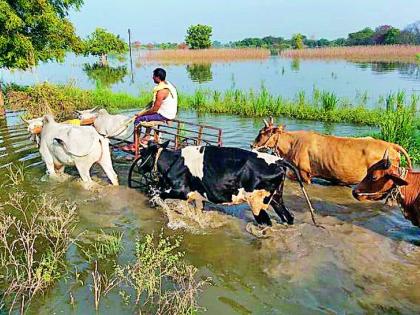 Farming crisis on the banks of the river | नदीकाठावरील शेती संकटात Farming crisis on the banks of the river | नदीकाठावरील शेती संकटात