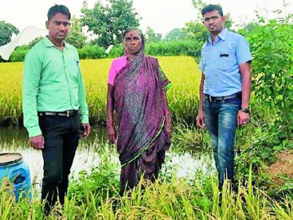 An innovative experiment of fish farming in Lakhandur taluka | लाखांदूर तालुक्यात मत्स्य शेतीचा अभिनव प्रयोग An innovative experiment of fish farming in Lakhandur taluka | लाखांदूर तालुक्यात मत्स्य शेतीचा अभिनव प्रयोग