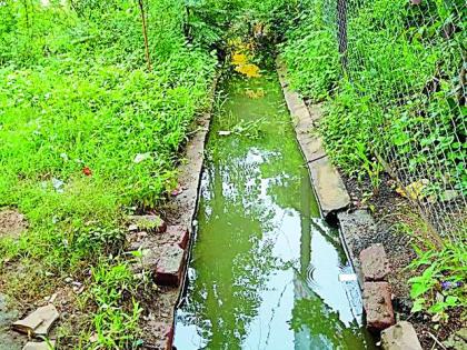 Collector Bungalow area was found to be dirty | जिल्हाधिकारी बंगला परिसराला घाणीचा विळखा Collector Bungalow area was found to be dirty | जिल्हाधिकारी बंगला परिसराला घाणीचा विळखा