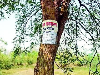 After all, the trees of Coca-Abharna are free of nails | अखेर कोका अभरण्यातील झाडे खिळेमुक्त