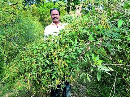 Foolwell Paradise in 110 acres of land | ११० एकर शेतात फुलविले नंदनवन