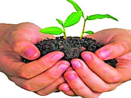 Mini ministry to plant 12 lakh trees | मिनी मंत्रालय करणार १२ लाख वृक्ष लागवड