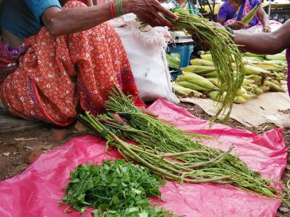 gadacairaolaitaila-raanabhaajayaa-daetaata-naaisaragaika-paraotaina-kaenlasaiyama-ayarana | गडचिरोलीतील रानभाज्या देतात नैसर्गिक प्रोटिन, कॅल्शियम, आयर्न